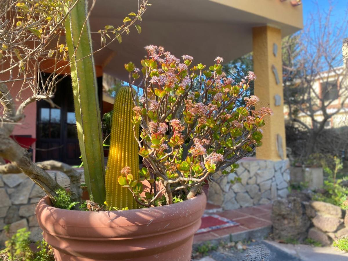 Lovely Home 5 Min Walk To The Beach, 3 Bedrooms Ample Outdoor Relax And Wifi Capitana Kültér fotó